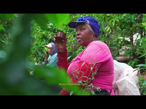 Café - Origem - Sítio do Pavão, Olímpio Noronha, Mantiqueira de Minas/MG.