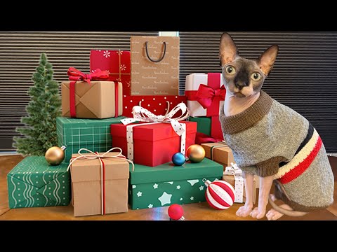 Cosmo opens his Christmas presents! | Janet and Kate