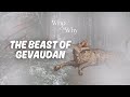 WHO AND WHY THE BEAST OF GEVAUDAN