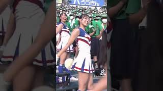 やっぱり、甲子園のチアリーダーは最高。#野球 #甲子園 #甲子園球場 #高校野球 #高校野球応援 #jk #女子高生 #高校生 #おすすめ #shorts #かわいい #えろい #エロい
