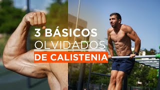 LOS 3 BÁSICOS GRANDES OLVIDADOS DE LA CALISTENIA