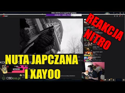 Reakcja NITRO Gruby AK47 x Zeju POG - ŻYCIA SCHEMAT (Nitro, Japczan, Xayoo)