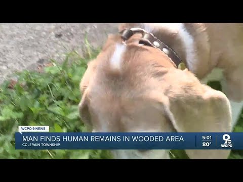 Man found human remains in wooded area near his home