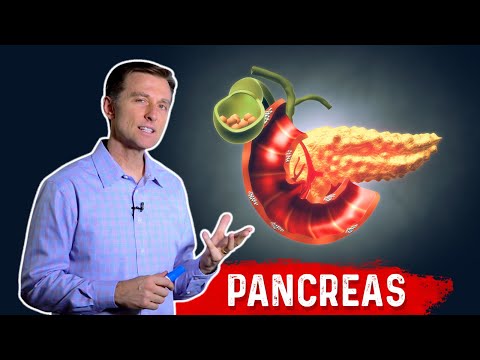 The Function Of Pancreas & Pancreatitis – Dr. Berg﻿ on Pancreatic Insufficiency
