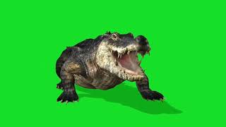 Download lagu crocodile green screen mp3