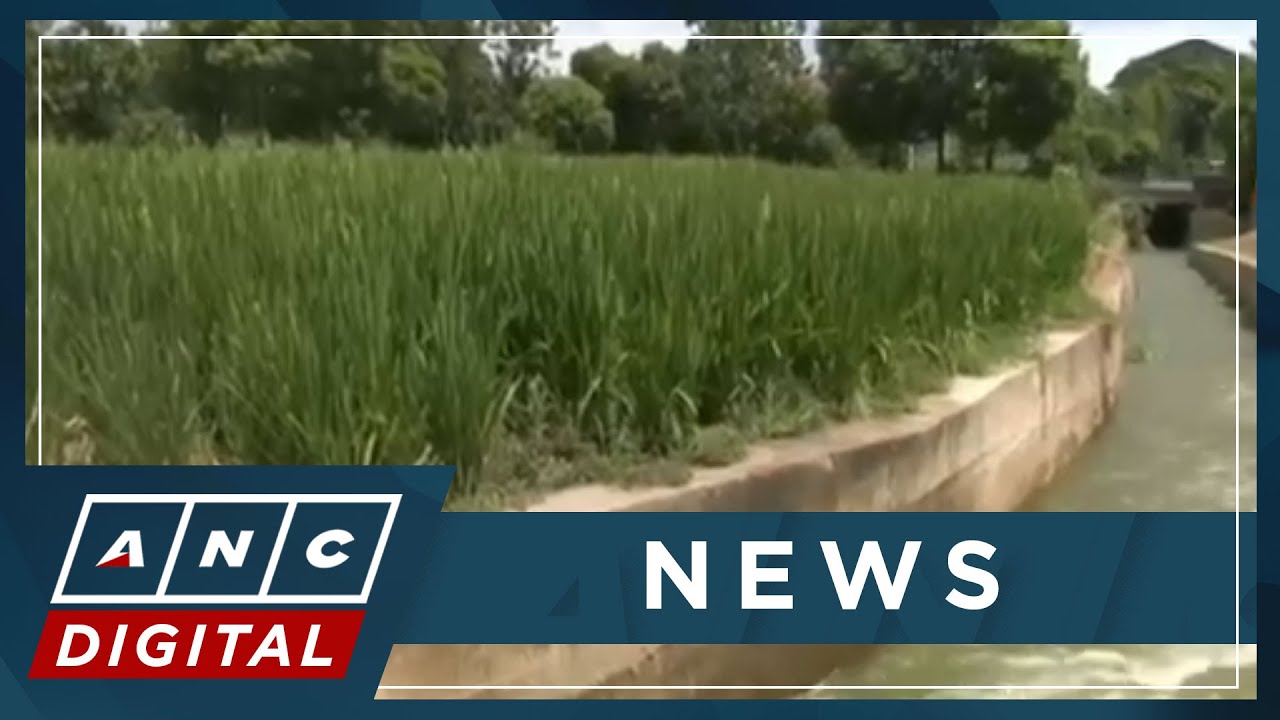 China to conduct cloud seeding to save crops amid drought | ANC