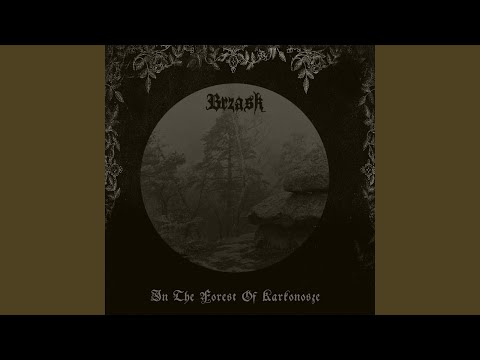 In The Forest Of Karkonosze