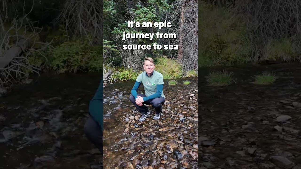 Where does a river start & how does it grow?