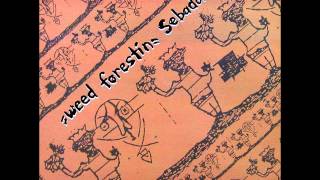 sebadoh - perfect power