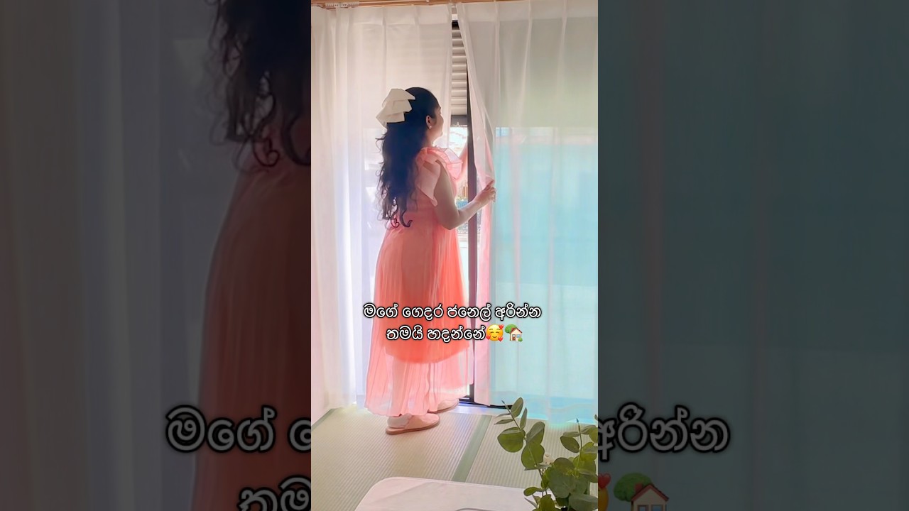 ජපානයේ ගෙවෙන ලස්සන සිහිනයක් වගේ දවසක්🇯🇵🏡🥰☺️🌸#adayinmylife #lifeinjapan #japan #japanlife