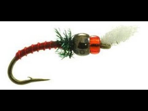 Rojo Midge Fly Tying Video, How to Tie a Rojo Midge, Fly Tying Step by  Step Videos, Learn to Tie Fly Fishing Flies, Fly Fishing Tips