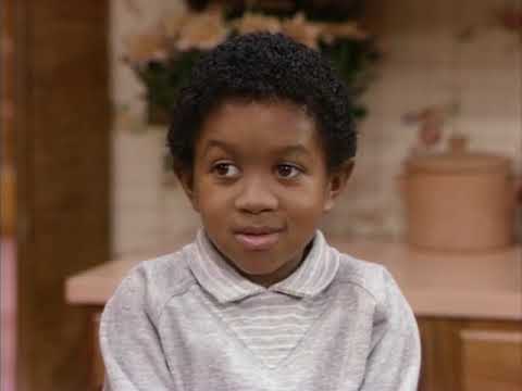 Webster   S05E06 George's Brush with Life