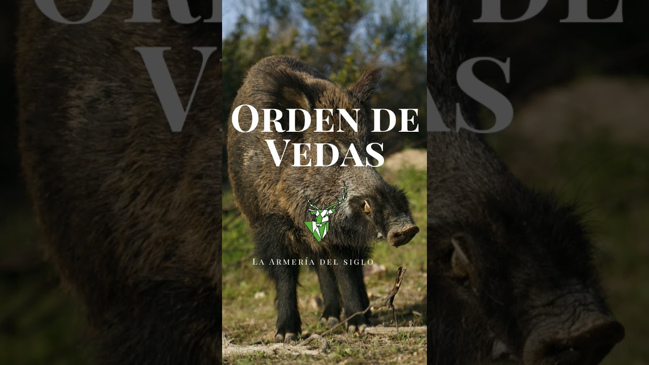 Nueva orden de Vedas 2022 - 2023