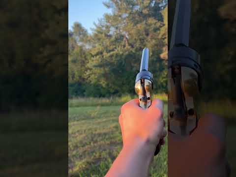 Pietta 1858 Stainless Steel Black Powder Revolver