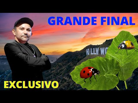 311-COMO PINTAR A FOLHA COM A JOANINHA