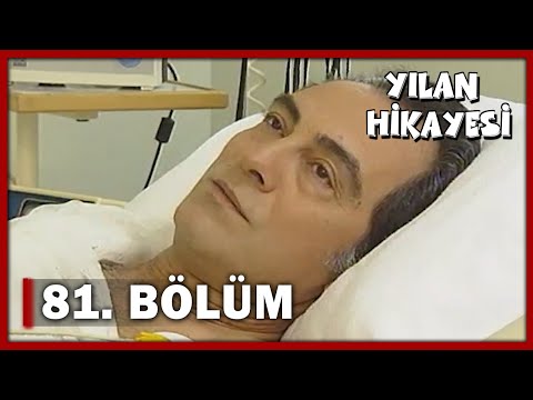 Yılan Hikayesi 81.Bölüm - FULL BÖLÜM