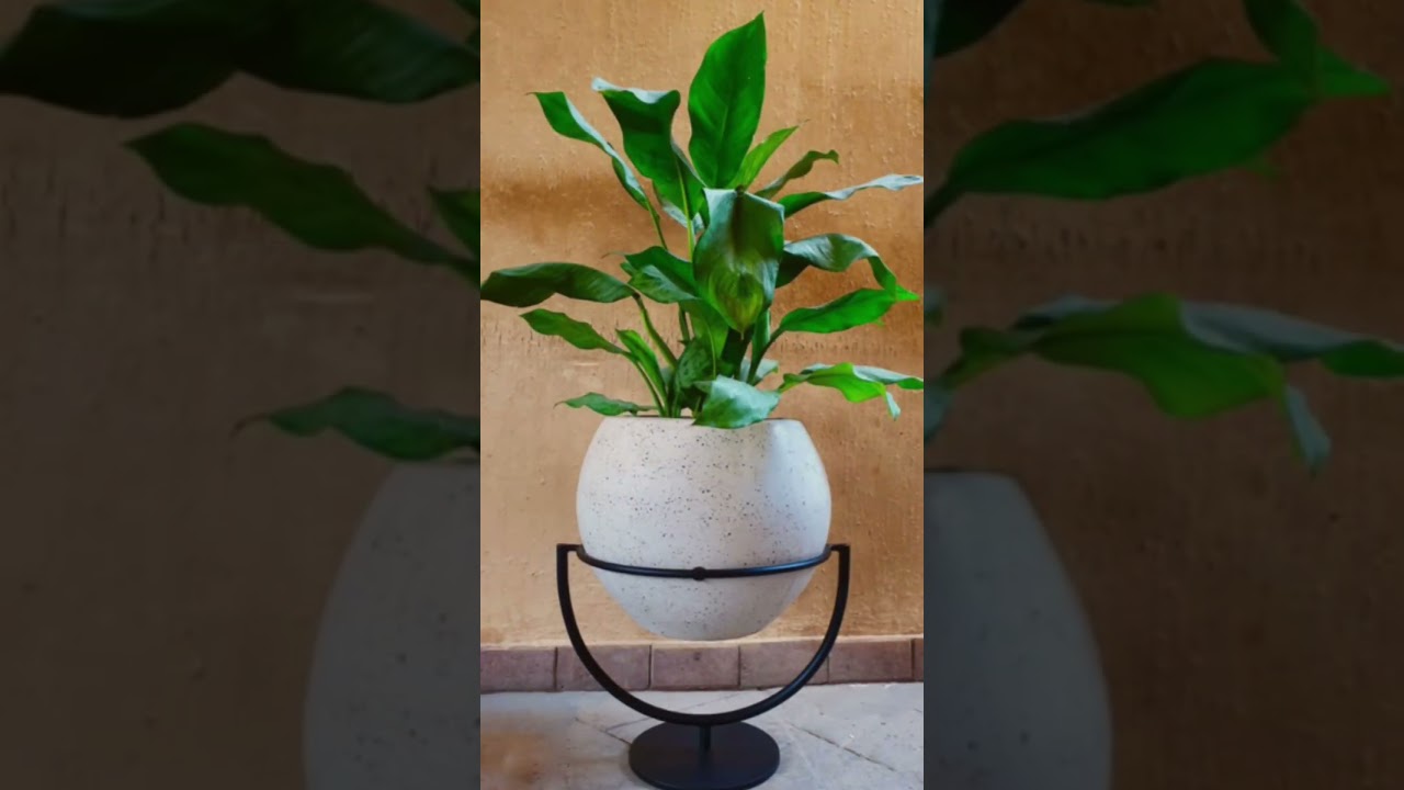 Transform Your Spaces with Bina Sohail's Contemporary Planters | Indoor & Outdoor Decor