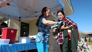 Vaccinated and Loved: 2023 National Pet Vaccination Month | Petco Love
