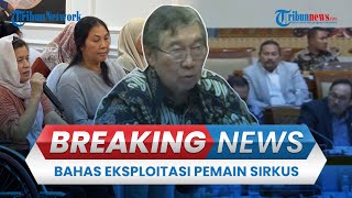 BREAKING NEWS: Komisi III Panggil OCI Buntut Eksploitasi Pemain Sirkus Taman Safari