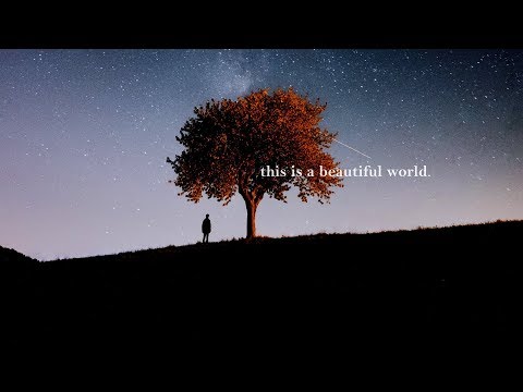 Down by the Sycamore Tree (OFFICIAL LYRIC VIDEO) | Kevin Heider