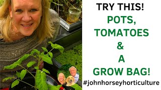 HOW TO GROW TOMATOES USING RING CULTURE POTS & A GROW BAG - EASY GUIDE