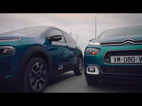 C4 Cactus Hatch - 12 Driving Aids