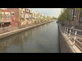 Olstgracht 40 jaar: van dronken jeugd tot bloemetjesmarkt