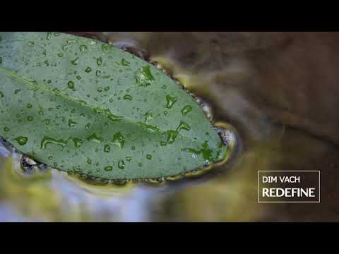 Dim Vach - Wandering Around