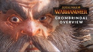 Total War: Warhammer - Grombrindal (The White Dwarf) Overview