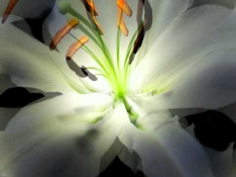 Bruce Becvar - Shiva Moon