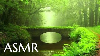 ASMR - Forest Walk: Wonder of Trees