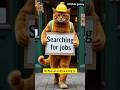 His Pregnant Girlfriend Made Him Loose His Job Cat Love Shorts Viralvideo Youtubeshorts