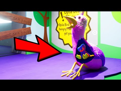 What's Inside Opila Bird - Baby Huggy Wuggy ??? (Garten of Banban)