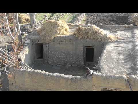 Mustang: partire o restare?