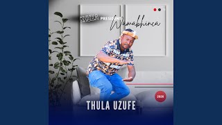 Download lagu Lo sbali wayibona kahle mp3