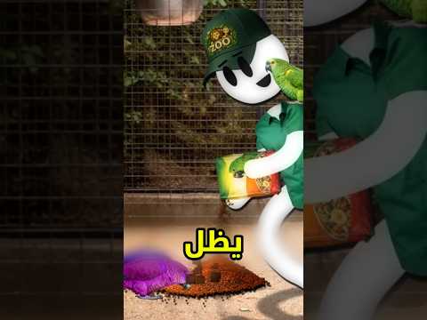 جاب العيد بسبب الببغاء 😱 #youtubeshorts