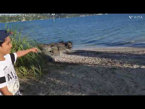 Auckland - Hobsonville Suburb, Super sea view 💙 ♥️ 😍