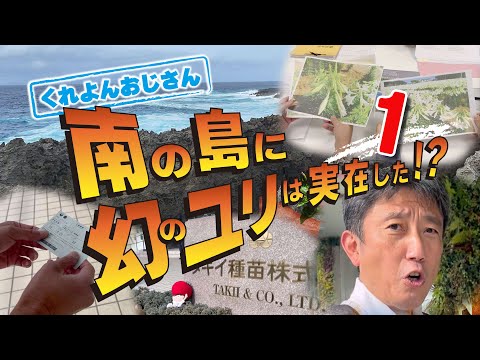 アジアユリ 植物