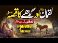 Hazrat Luqman Haqeem Aur Gadhay Ka Waqiya Islamic Story Of Wisdom Muslim Matters TV