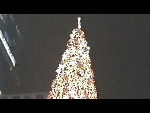 JOEYCOZYBOY - Favorite lady ft. Maxsickboy (Official Visualizer)