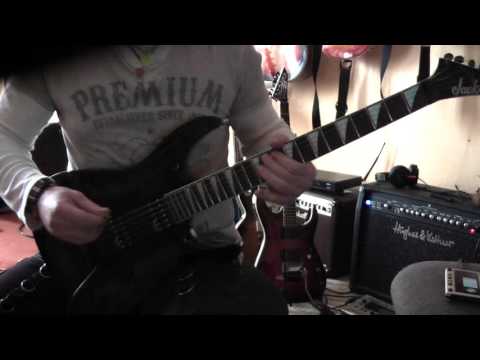 Wifi Guitars - Hammerfall Aphasia Europe Cover 2