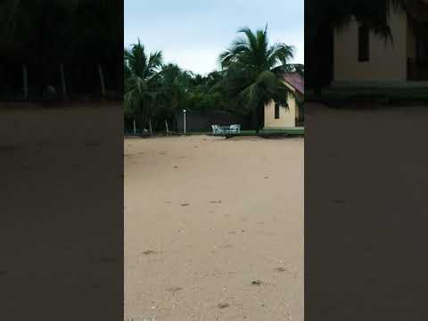 This is the Coral Cove Kayankerni Resort 👌👌🏖️️