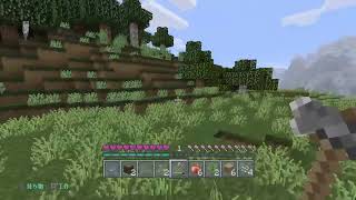 マイクラやっていく！参加○