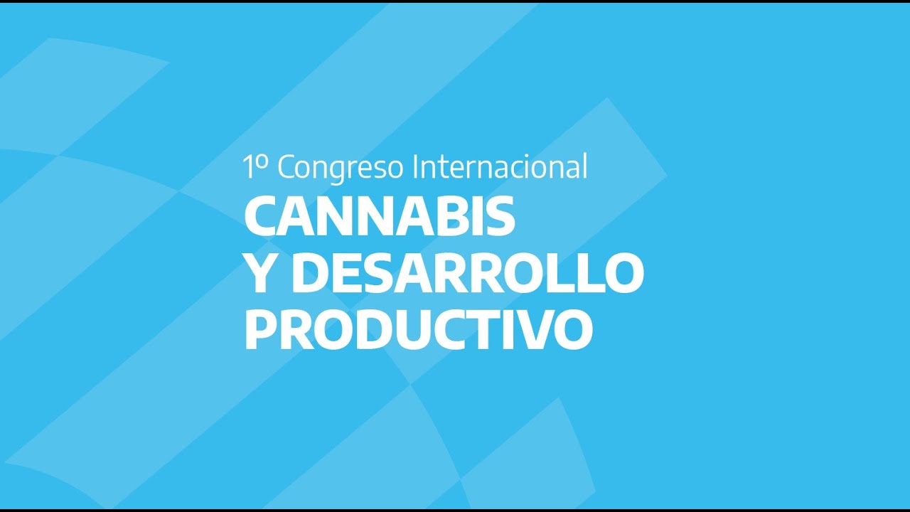 Cannabis medicinal: Kulfas reconoce que crece la industria en el país y admite que apoya esa tendencia