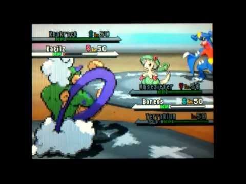 Sharfax-Fan vs. Kokoromori (Reihumkampf, National)