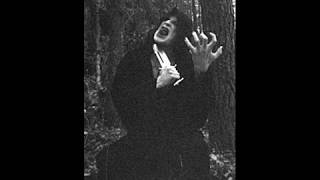 Darkwoods My Betrothed [a.k.a Virgin&#39;s Cunt] ‎– The Diabolical Eve Of The Nocturnal Holocaust