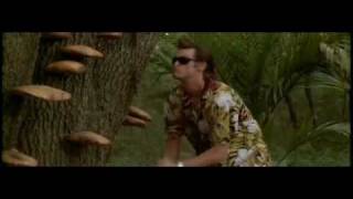 Ace Ventura - We love you Dark Continent . Goodnight.