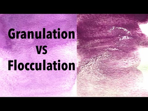 Watercolor Granulation vs Flocculation