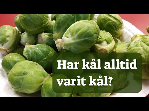 , title : '13 Har kål alltid varit kål? - LTH:s julkalender 2018'