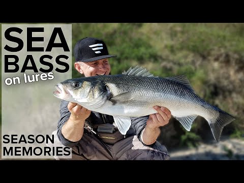 Sea Bass Fishing with Lures, Seabass Season Memories - Ireland (2020)